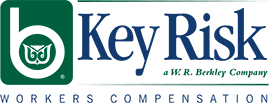 Key Risk Logo